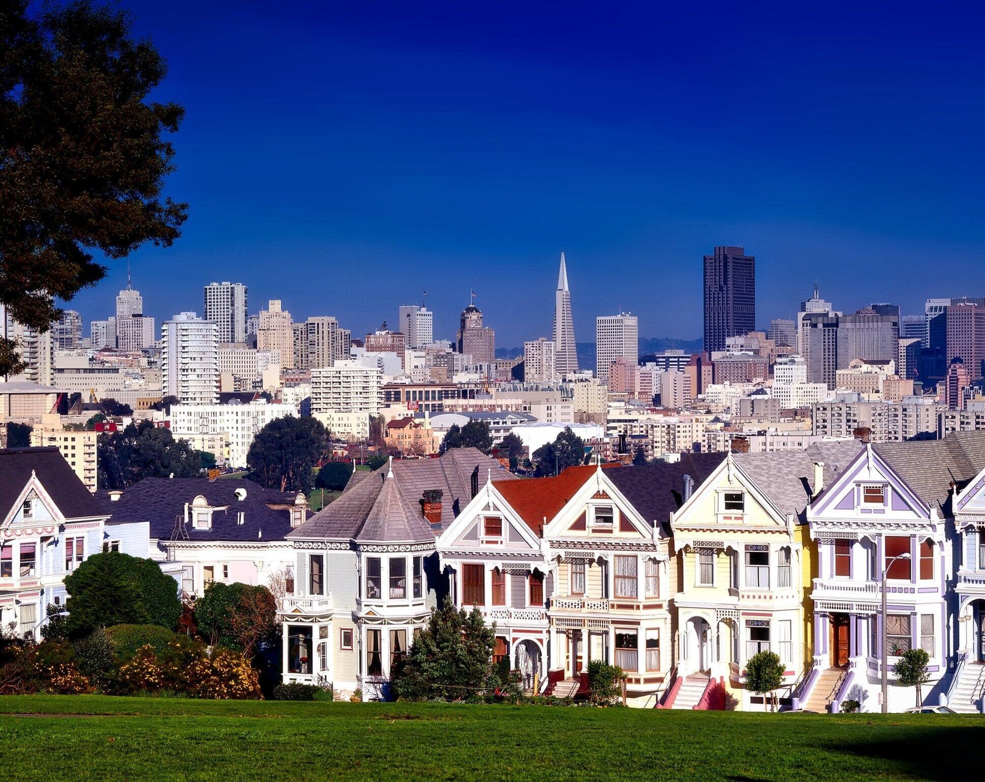 Real Estate Trends to Watch in San Francisco: Insights for Buyers and Sellers